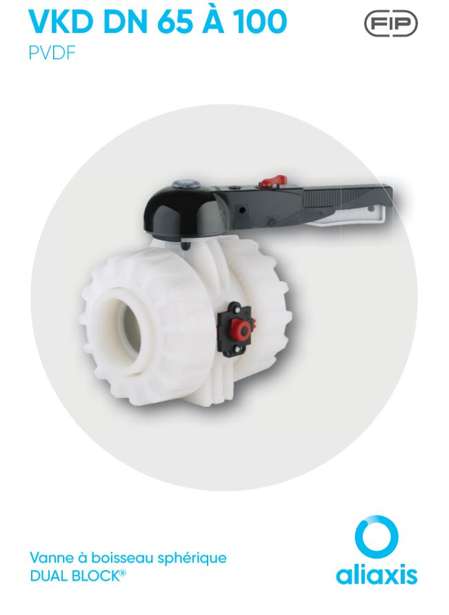 VKD DN 65 A 100 | PVDF