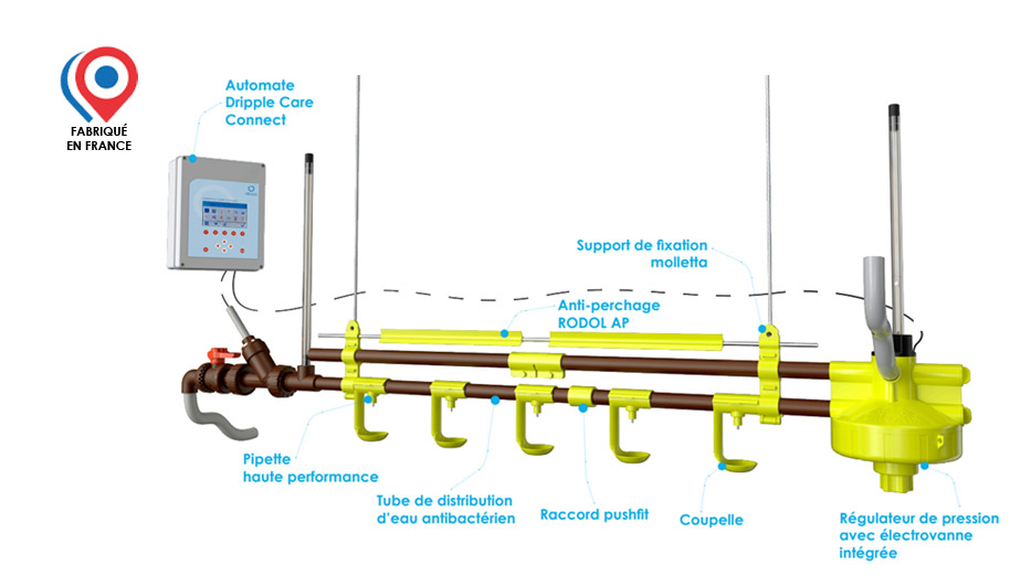 Solution DrippleCare®