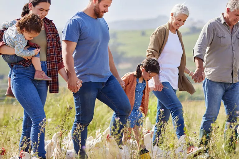 image liste dripple care