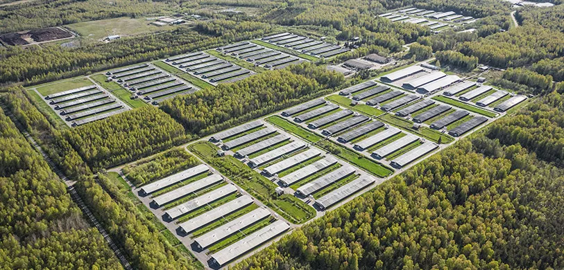 ferme avicole ferme avicole