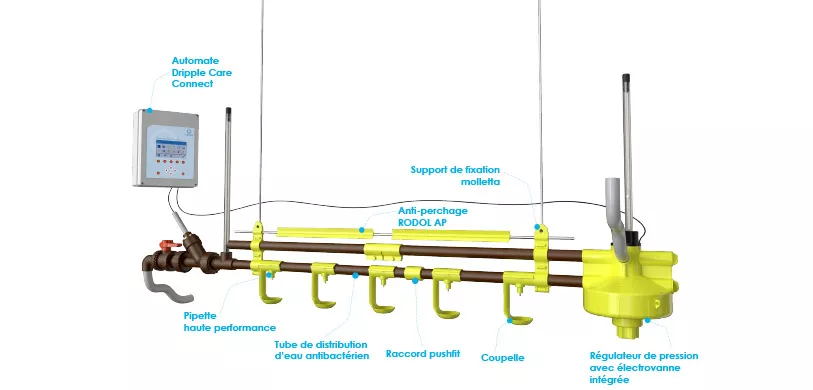 Détails machine dripple care Détails machine dripple care